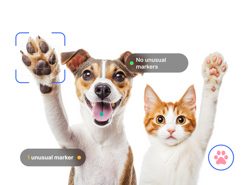 Personalisiert für Haustiere und bequem für Ihre Kunden